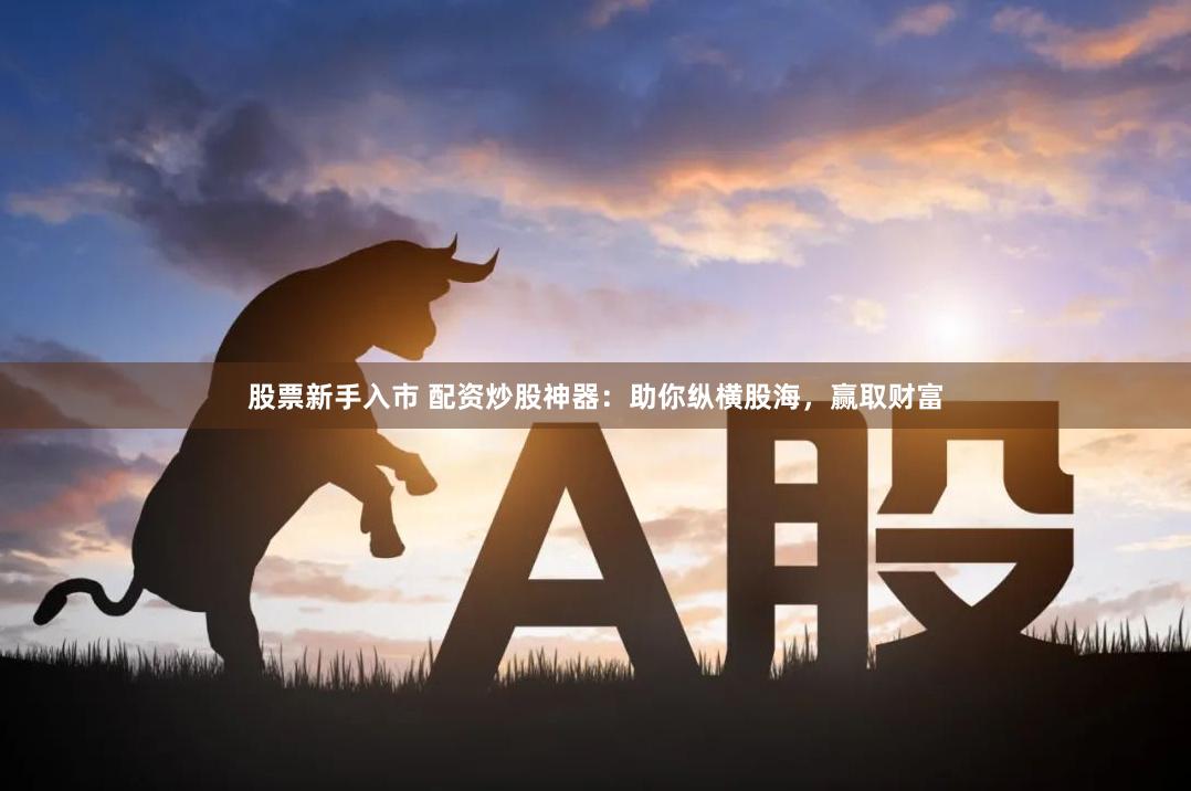 股票新手入市 配资炒股神器：助你纵横股海，赢取财富