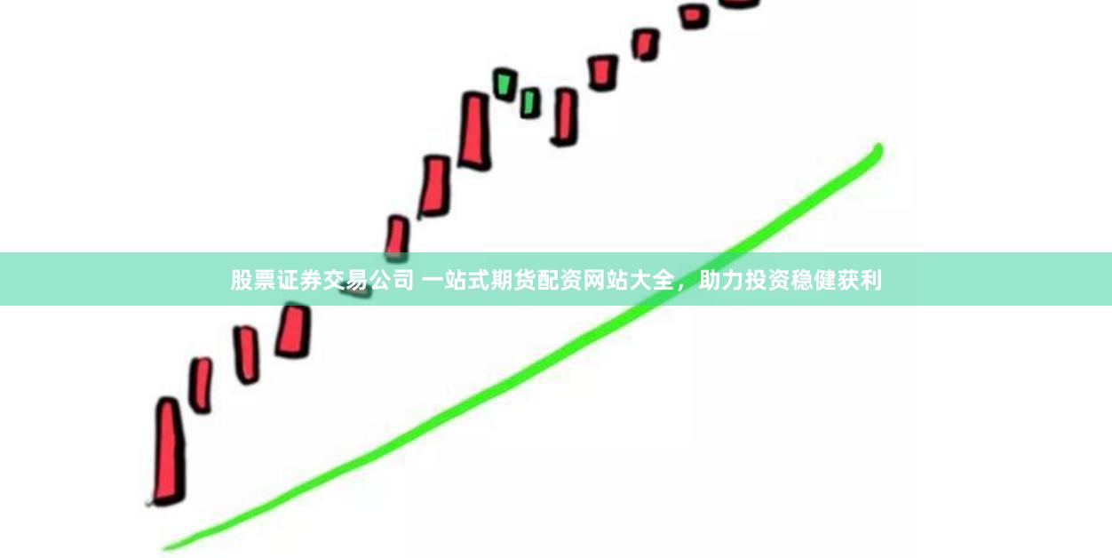 股票证券交易公司 一站式期货配资网站大全，助力投资稳健获利