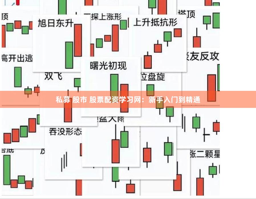 私募 股市 股票配资学习网：新手入门到精通
