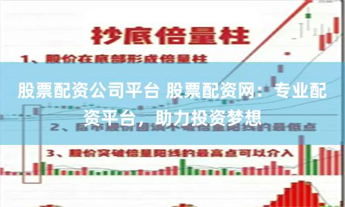 股票配资公司平台 股票配资网：专业配资平台，助力投资梦想