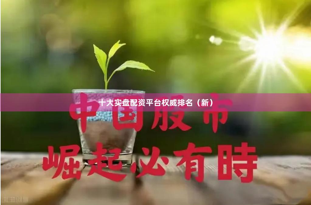 十大实盘配资平台权威排名（新）