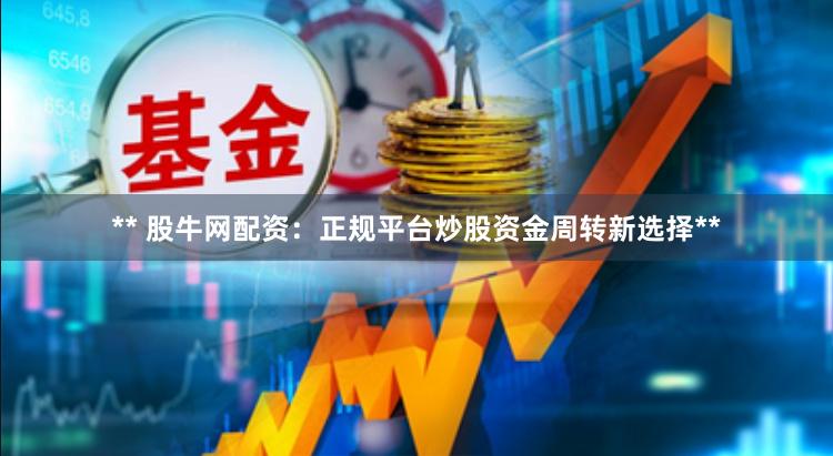 ** 股牛网配资:正规平台炒股资金周转新选择**